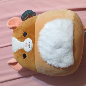 Garrett the guinea pig